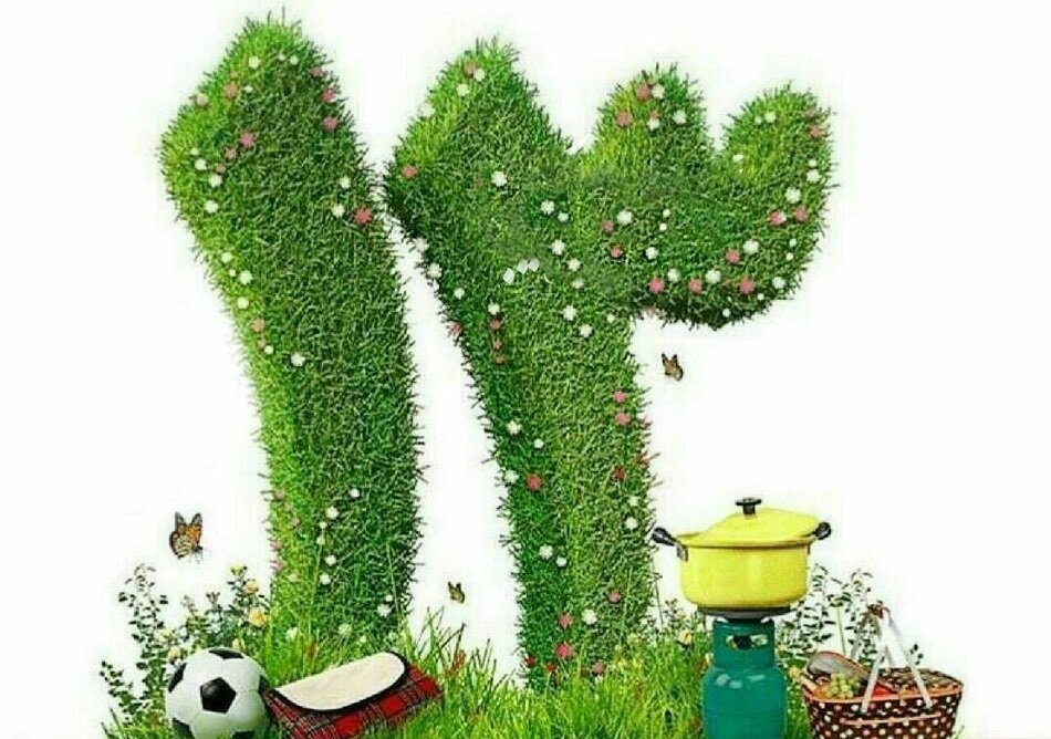 باور به نحسی عددی که درست نیست