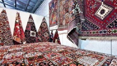 دومین رویداد صنایع دستی کشور در شهمیرزاد برگزار شد