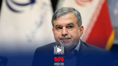 صالحی‌امیری: برخورد با متخلفان برداشت خاک هرمز نیازمند آموزش است