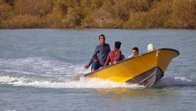 اینفوگرافیک؛ جاذبه‌های روستای سهیلی