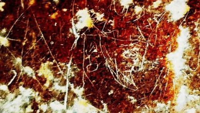 کشف نگاره‌ سوزنی یکی از شاهان ساسانی در صخره‌های شهر استخر فارس