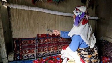 روایت صنایع دستی اردبیلیها از پشت دارهای چوبی و یک واقعیت پنهان روایت صنایع دستی اردبیلیها از پشت دارهای چوبی و یک واقعیت پنهان