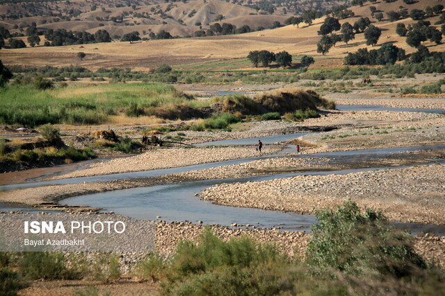 کشکانِ عطشان