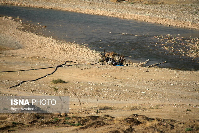 کشکانِ عطشان