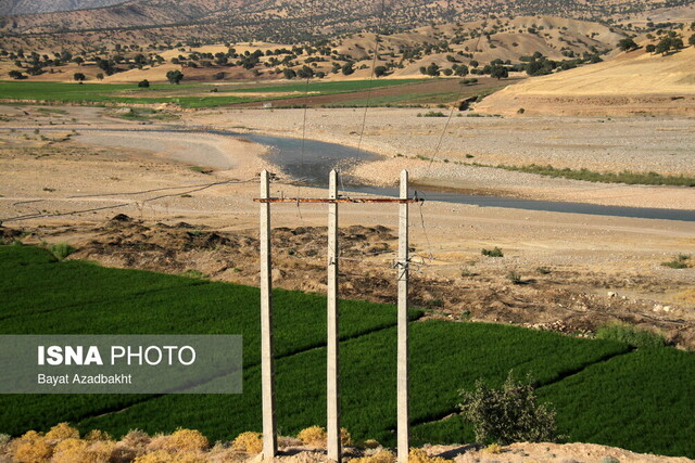 کشکانِ عطشان