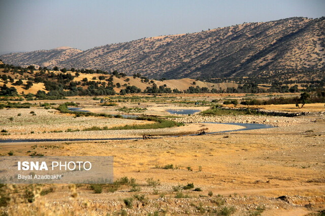 کشکانِ عطشان