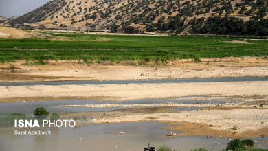 کشکانِ عطشان
