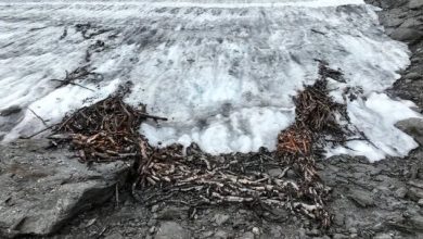 کشفی منحصربفرد با آب شدن یخ کشفی منحصربفرد با آب شدن یخ