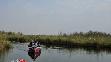 «شهرنی» در شادگان به جزیره گردشگری تبدیل شد