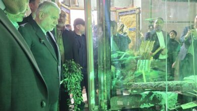 صالحی‌امیری: هتک حرمت حرم سبزقبا چهره واقعی دشمنان ایران را آشکار کرد