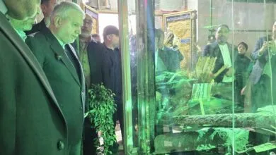 صالحیامیری: هتک حرمت حرم سبزقبا چهره واقعی دشمنان ایران را آشکار کرد صالحیامیری: هتک حرمت حرم سبزقبا چهره واقعی دشمنان ایران را آشکار کرد