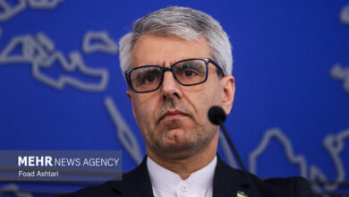 بقایی: هدف متجاوزان آمریکایی و اسرائیلی محو میراث فرهنگی ایران است