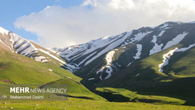 حضور ایران در نشست گردشگری سبز کشورهای آسیایی حضور ایران در نشست گردشگری سبز کشورهای آسیایی